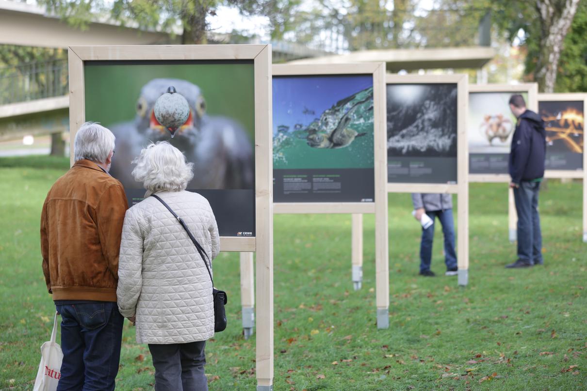 Outdoor-Ausstellung Best-of ENJ, Internationales Naturfotofestival, Lünen