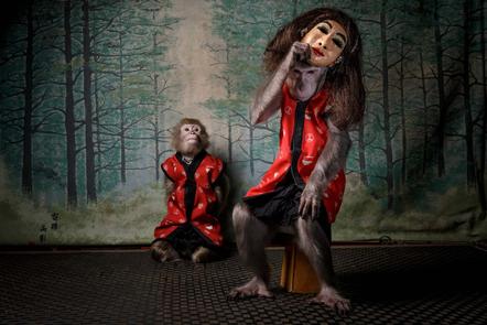Jasper Doest | Des Affen Maske | A monkey's mask