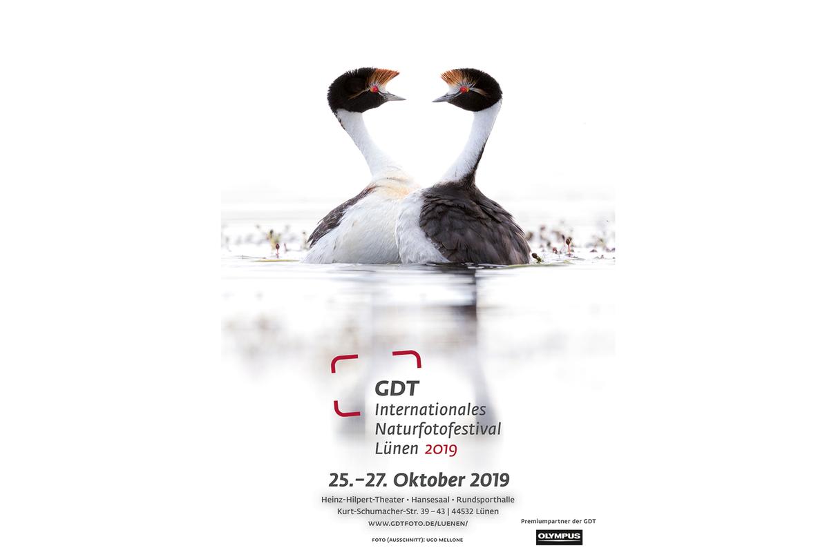 Festival Plakat 2019