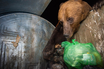 David Hup & Michiel van Noppen | Futtersuche im Müll | Grabbing garbage