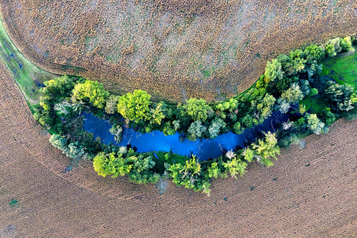 2022 | 2. Platz: Péter Fodor (SVK) | Eine Oase für die Natur | An oasis for nature 