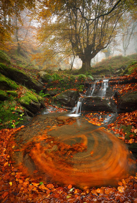 Urtzi Vera: Den Herbst eingefangen