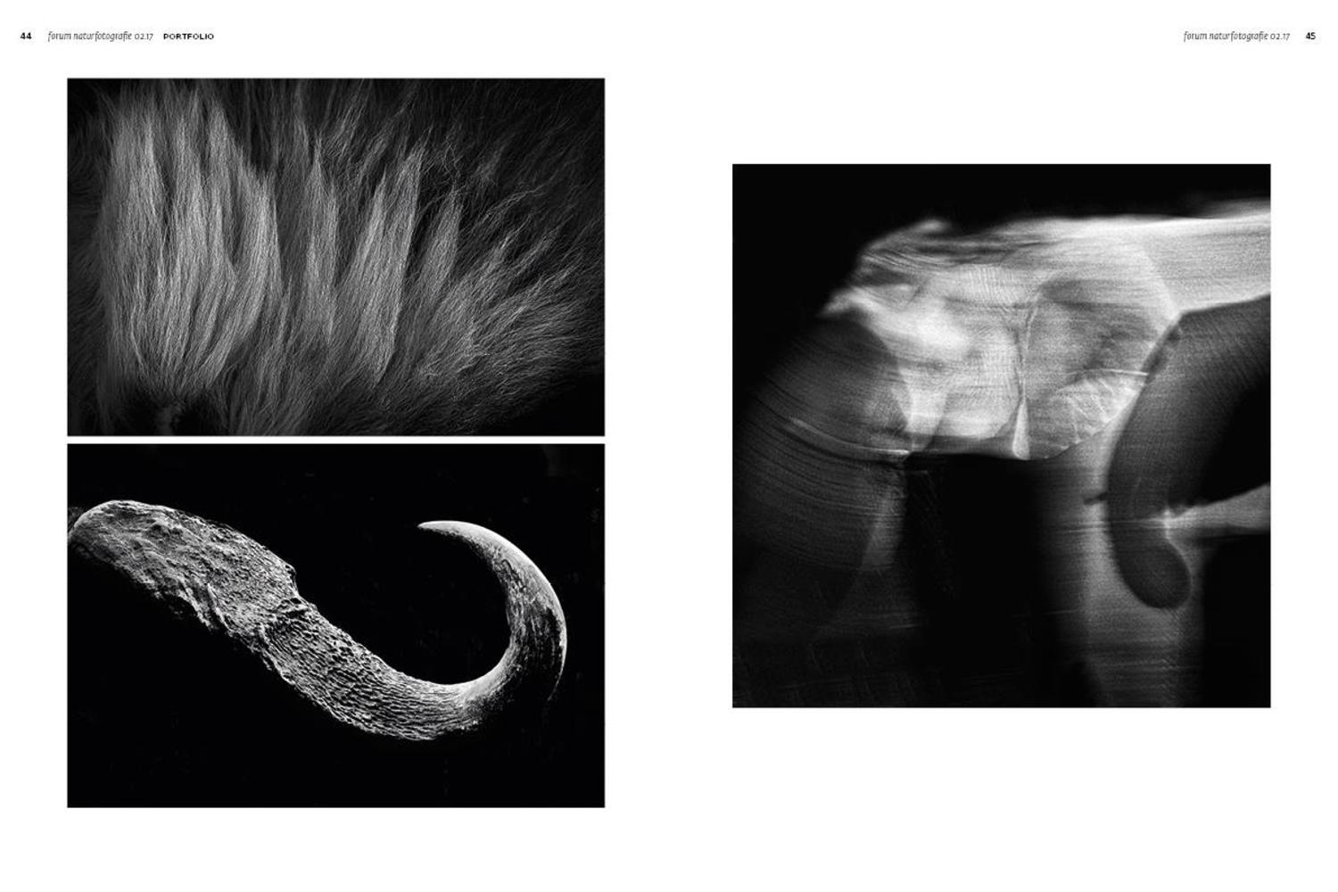 Tort martalik jinsiy aloqa