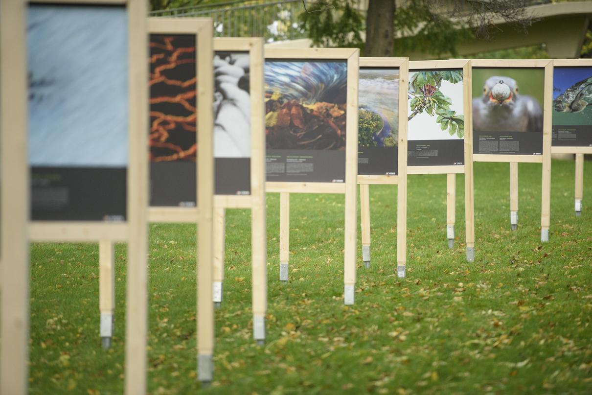 Outdoor-Ausstellung 