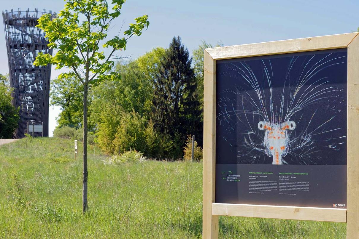 Outdoor-Ausstellung 