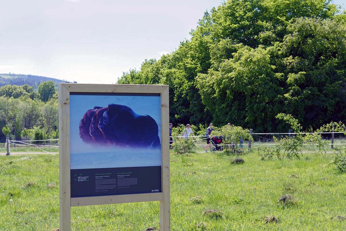 Outdoor-Ausstellung 