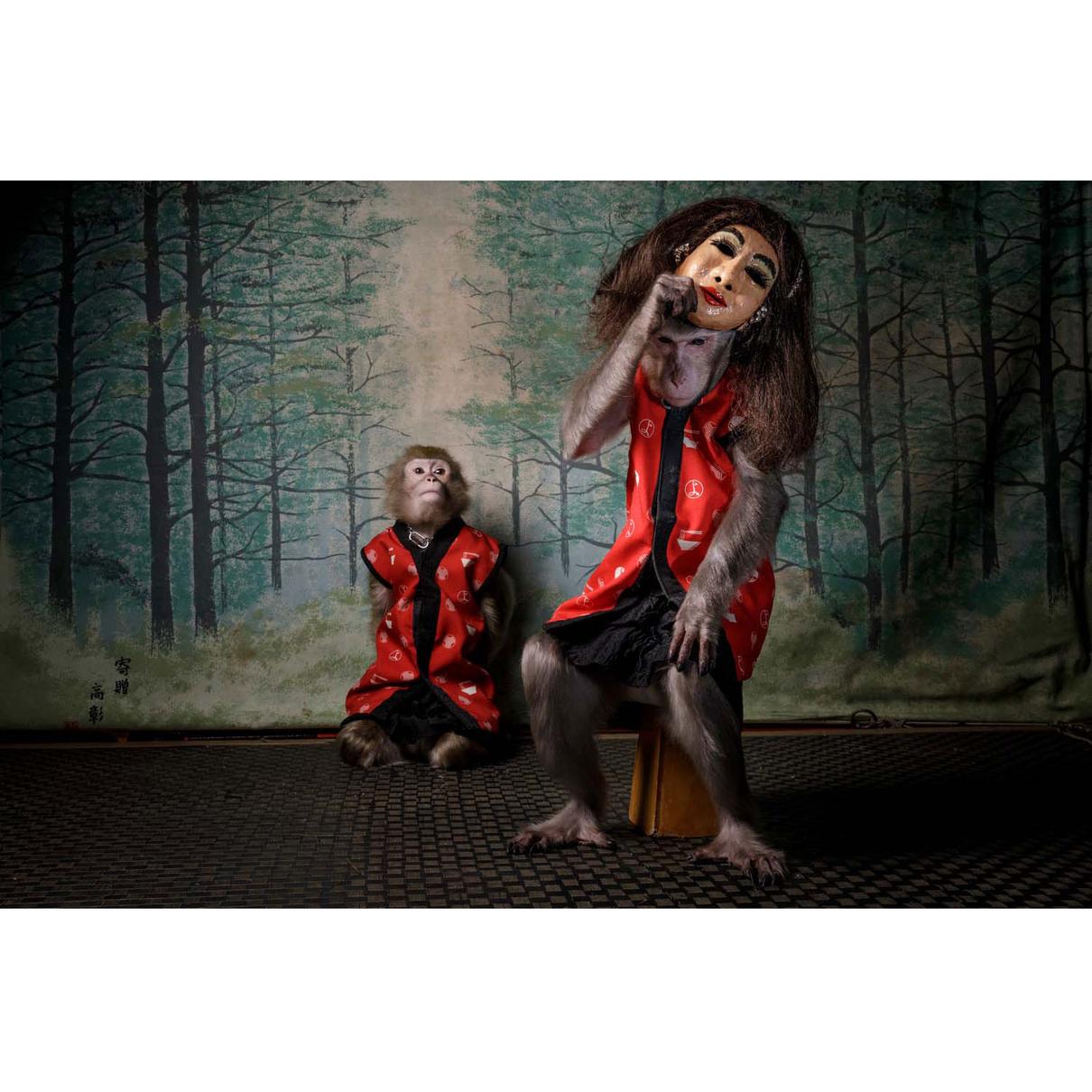 Gesamtsieger | Overall Winner 2020: Jasper Doest (NL) | Des Affen Maske | A monkey's mask