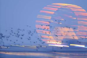 Zoltan Gergely Nagy | Nachtflug | Dusk Flight