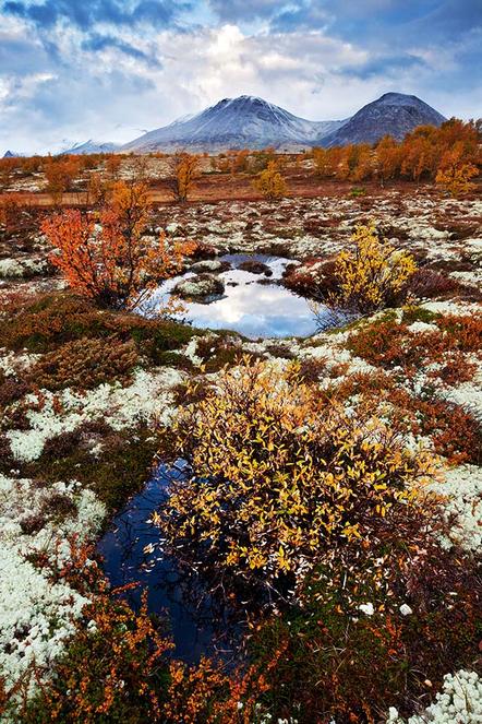 Radomir Jakubowski | Erster Herbstschnee 