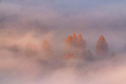 Michal Budzynski | Geheimnisvoller Nebel | Mysterious Mist