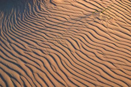 Michal Budzynski | Ozean aus Sand | Ocean of Sand