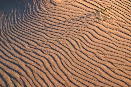 Michal Budzynski | Ozean aus Sand | Ocean of Sand