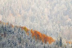 Michal Budzynski | Letzter Atemzug des Herbstes | Last Breath of Autumn