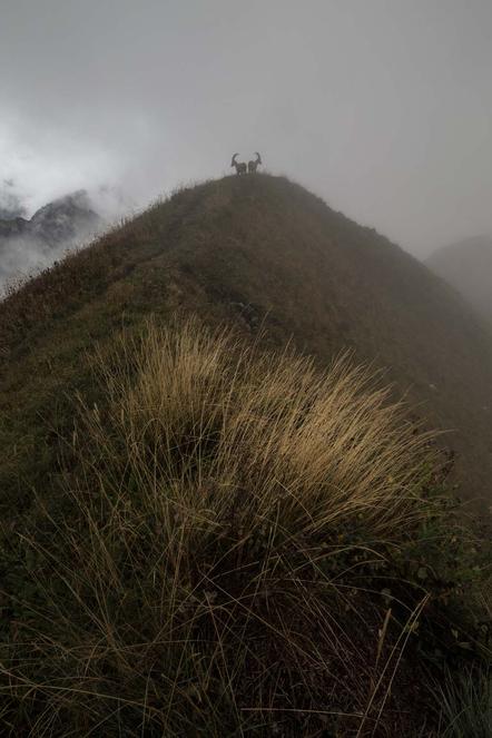 Emile Sechaud | Der Gipfel |The summit