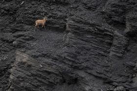 Emile Sechaud | In der schwarzen Wand | Black wall