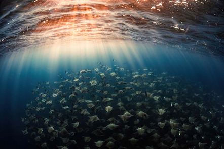 Mike Korostelev (RU) | Rochendämmerung | Rays at sunset