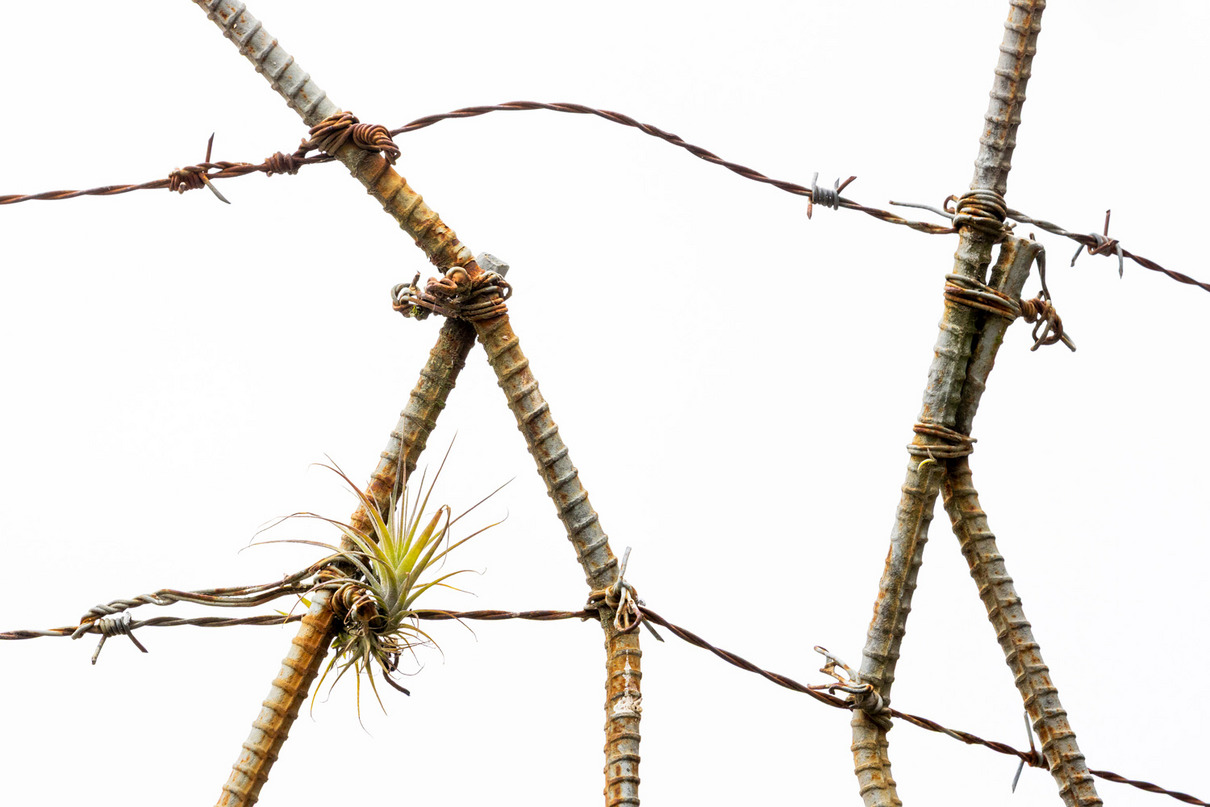 8. Platz: Christopher Meyer (DE) | Natur ohne Grenzen | Nature knows no borders