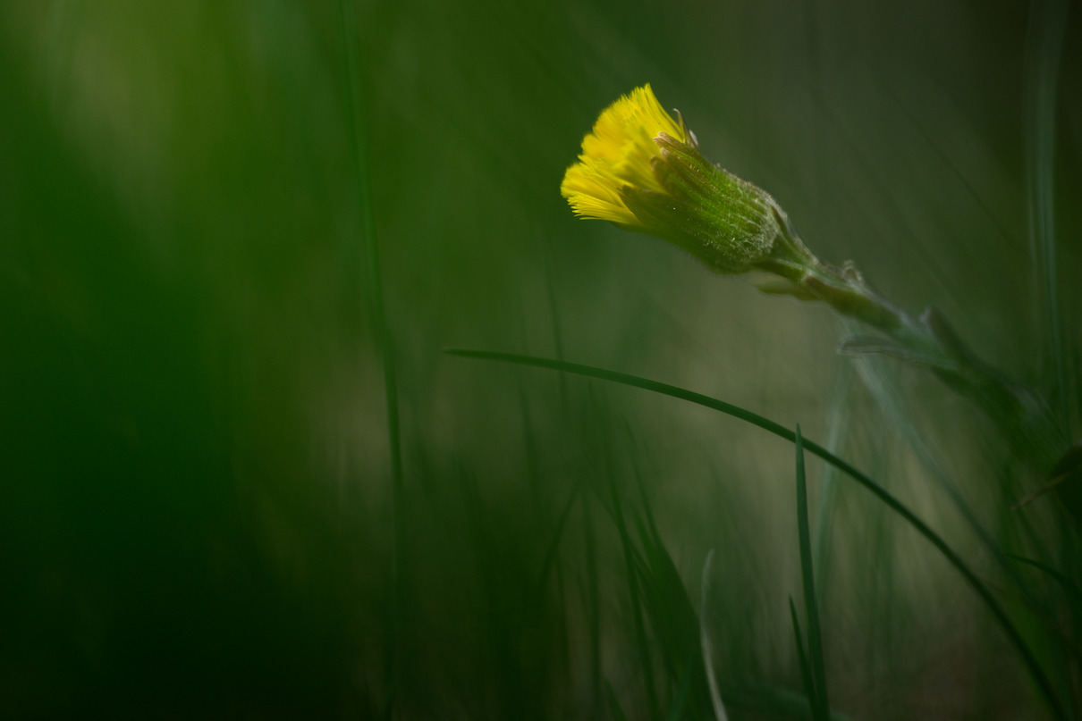2025 MG-WE (c) A.Pflug