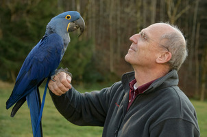 Klaus Nigge