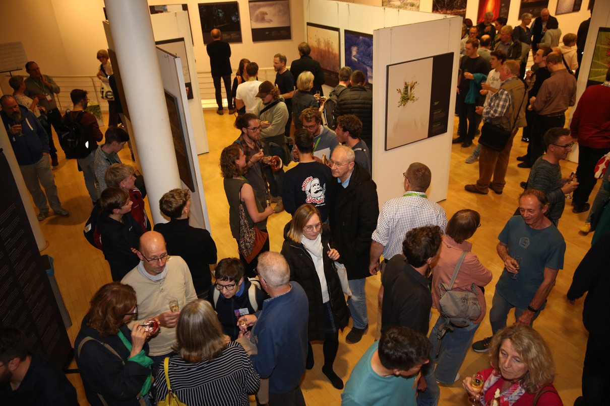 2024 Festival Ausstellung ENJ (4)
