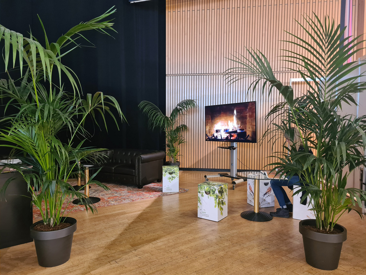 2024 Festival Bildersaal (1)