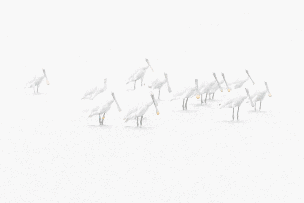 kreative Naturfotografie