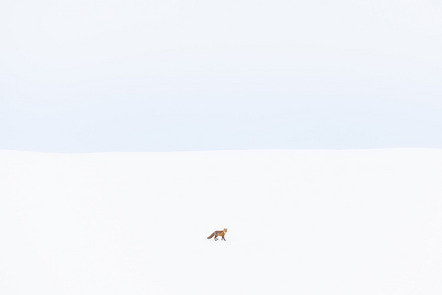 Tobias Gjerde | Norwegischer Winter 4