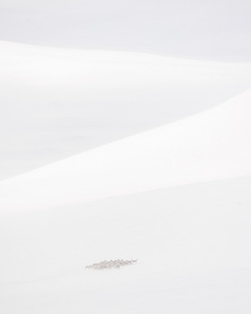 Tobias Gjerde | Norwegischer Winter 3
