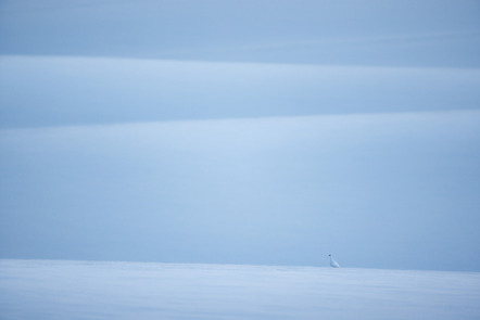 Tobias Gjerde | Norwegischer Winter 7