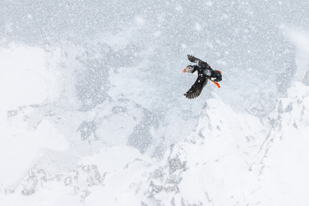 Tobias Gjerde | Norwegischer Winter 9
