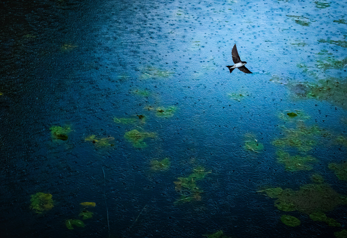Luca Lorenz (DE) | Regenflug | Flying in the rain