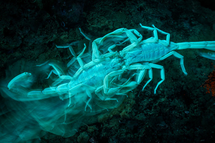 Javier Aznar  (ES) | Tanz im Mondschein | Moonlight dance