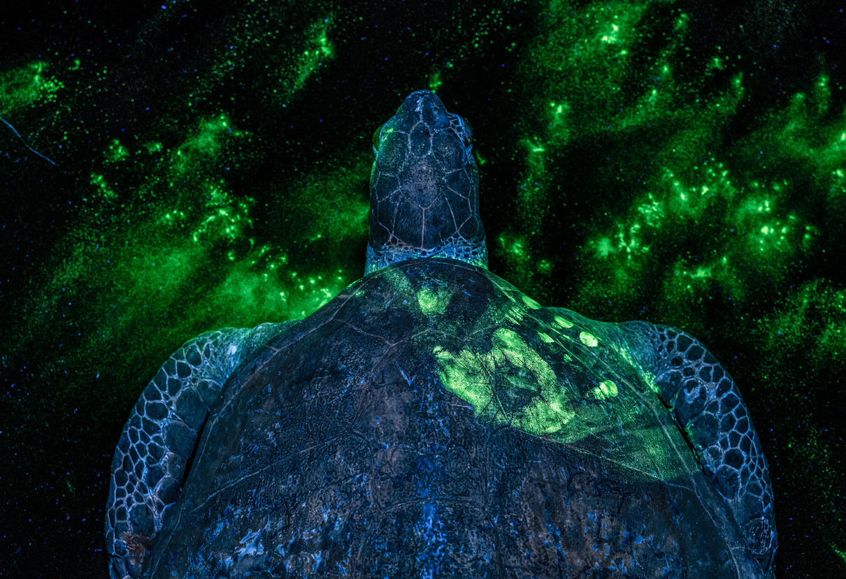 Siegerin / Winner: Britta Jaschinski (GB) | Spurensicherung | Forensics