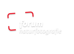GDT Gesellschaft für Naturfotografie e.V.