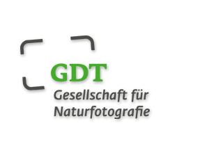 gdt